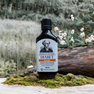 Paracelsus Diabet