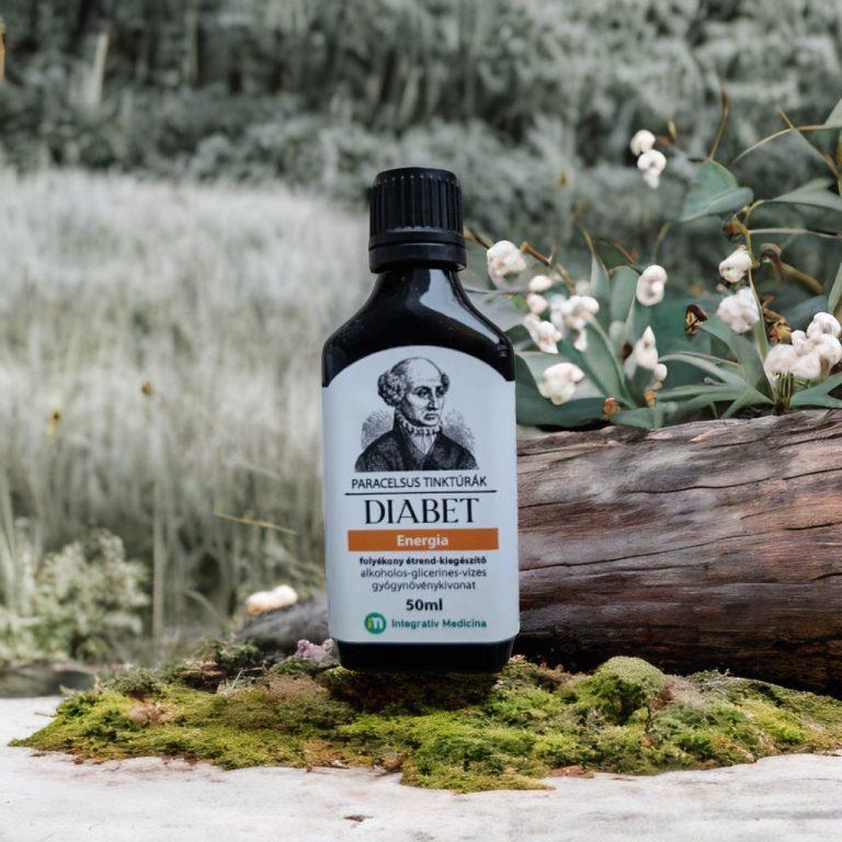 Paracelsus Diabet